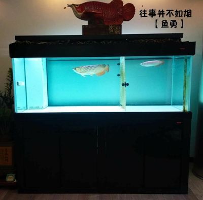 養(yǎng)龍魚缸里需要放鹽嗎：養(yǎng)龍魚時不需要在魚缸里放鹽，但要注意控制細菌滋生