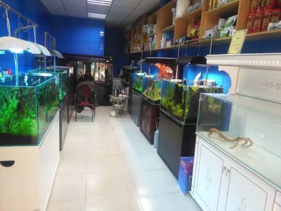 水族館加盟找祥龍魚場多少錢：加盟祥龍魚場水族館加盟費(fèi)用