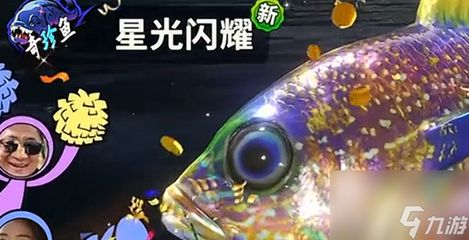 魚大師的龍魚燈怎么樣：漁師傅錦鯉龍魚羅漢觀賞魚魚缸t8燈管光管