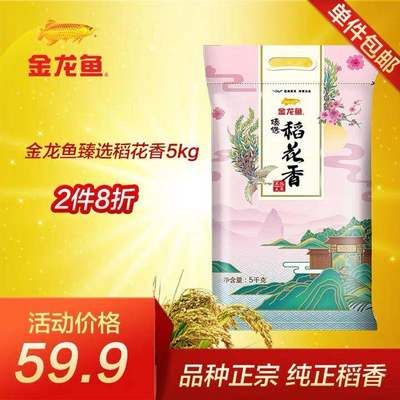 正宗金龍魚是哪個品種的魚?。赫诘慕瘕堲~是什么？ 龍魚百科 第2張