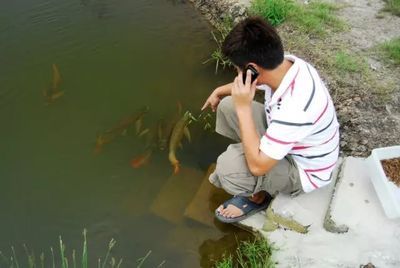 養(yǎng)龍魚底層配啥魚：養(yǎng)龍魚時(shí)選擇合適的配魚是非常重要的一步合理的配魚