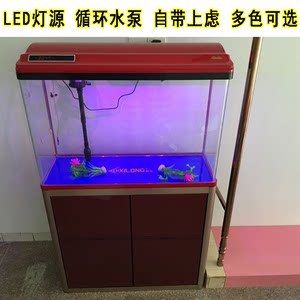 鯊魚能不能和金龍魚混養(yǎng)一起：觀賞鯊魚和哪些魚可以混養(yǎng)？