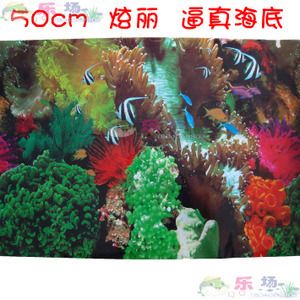 其他水族品牌批發(fā)：你正在尋找其他水族品牌批發(fā)以及貨源基地的信息 龍魚百科 第4張