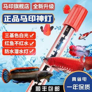 馬印水族批發(fā)：廣東馬印國際貿(mào)易有限公司