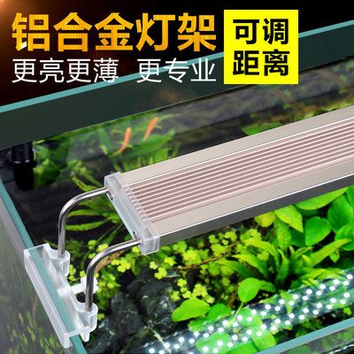 馬印水族批發(fā)：廣東馬印國際貿(mào)易有限公司