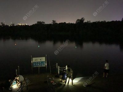 水中燈到底對龍魚掉眼有影響嗎：水中燈對龍魚掉眼有影響嗎，水中燈對龍魚掉眼有影響