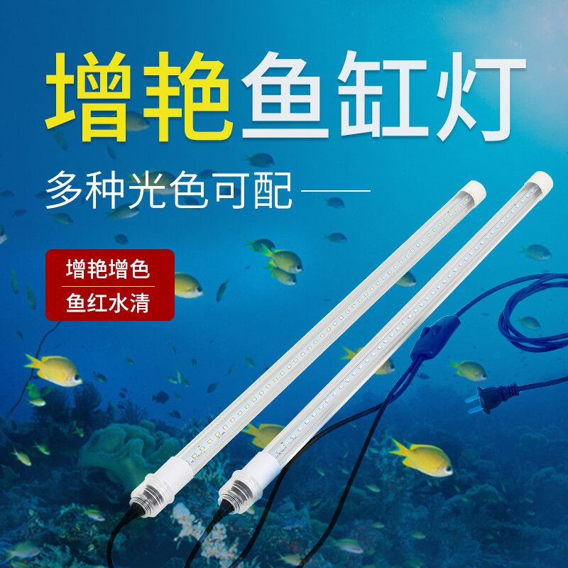 龍魚(yú)用什么燈管比較好