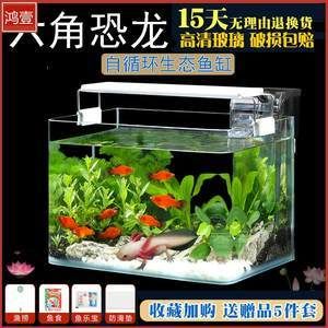 飼養(yǎng)龍魚用多大的缸好：飼養(yǎng)龍魚的魚缸尺寸應(yīng)該根據(jù)龍魚的種類和年齡來確定