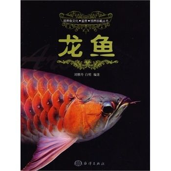 什么品牌龍魚好：哪些品牌龍魚比較好