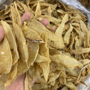 小金龍魚(yú)膠怎么泡：小金龍魚(yú)膠怎么泡發(fā)