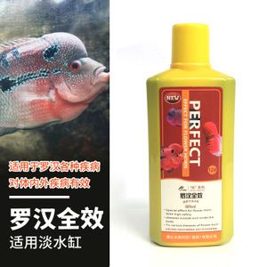 龍魚(yú)用什么麻藥消毒最好：斯樂(lè)疲和仟湖六號(hào)，龍魚(yú)麻醉和消毒藥物的選擇