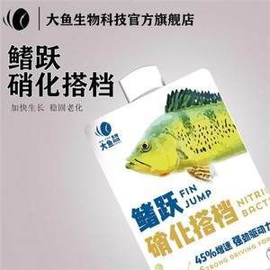 一條龍魚幾條虎魚好：一條龍魚和幾條虎魚的最佳混養(yǎng)數(shù)量