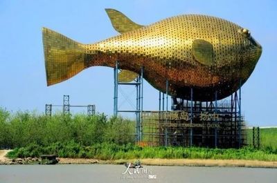 泰興金龍魚：泰興金龍魚是什么？