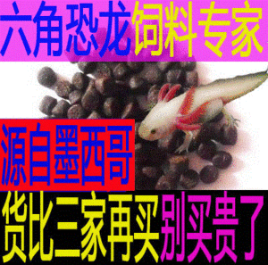 印尼加里曼丹紅龍魚價(jià)格：印尼加里曼丹紅龍魚價(jià)格受多種因素影響價(jià)格差異巨大