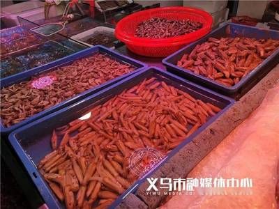 水龍魚價(jià)格：影響水龍魚價(jià)格的因素 龍魚百科 第3張