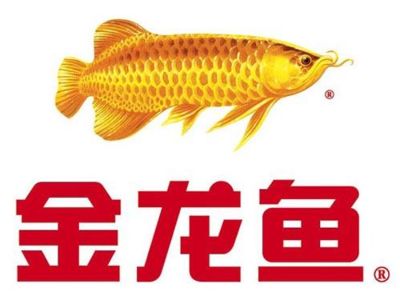 金龍魚(yú)可以吃什么最好：關(guān)于金龍魚(yú)的問(wèn)題 龍魚(yú)百科 第3張