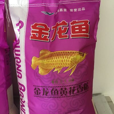 養(yǎng)金龍魚和什么魚混養(yǎng)最好