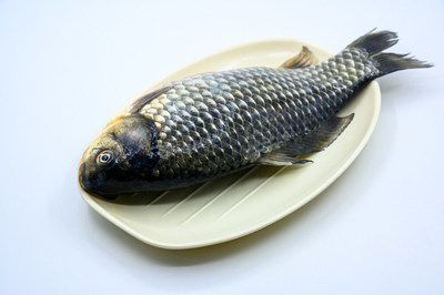 鑫德龍魚缸怎么樣：保定鑫德龍魚缸價格范圍