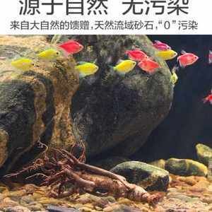 龍魚(yú)缸可以鋪底砂嗎：魚(yú)缸鋪底砂的利弊