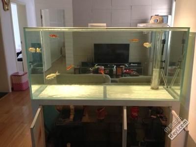 4毫米厚的玻璃魚(yú)缸怎么樣安裝：4毫米厚玻璃魚(yú)缸的安裝步驟和選擇魚(yú)缸的安裝步驟