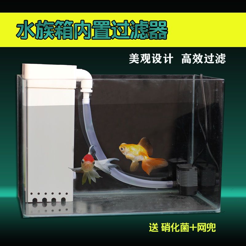 diy小魚缸過濾器：diy小魚缸過濾器的幾種方式