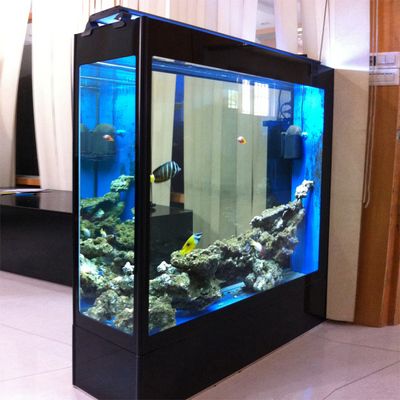 903030魚缸：90,30,30的魚缸價格是多少 魚缸百科 第1張