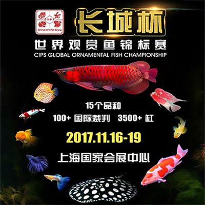 2024年觀賞魚展覽會(huì)圖片：2024年中國(guó)(福州)國(guó)際漁業(yè)博覽會(huì)