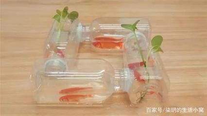 diy魚缸需要什么工具：diy魚缸需要哪些工具 魚缸百科 第4張