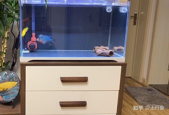 1號水族魚缸底柜 魚缸百科 第1張