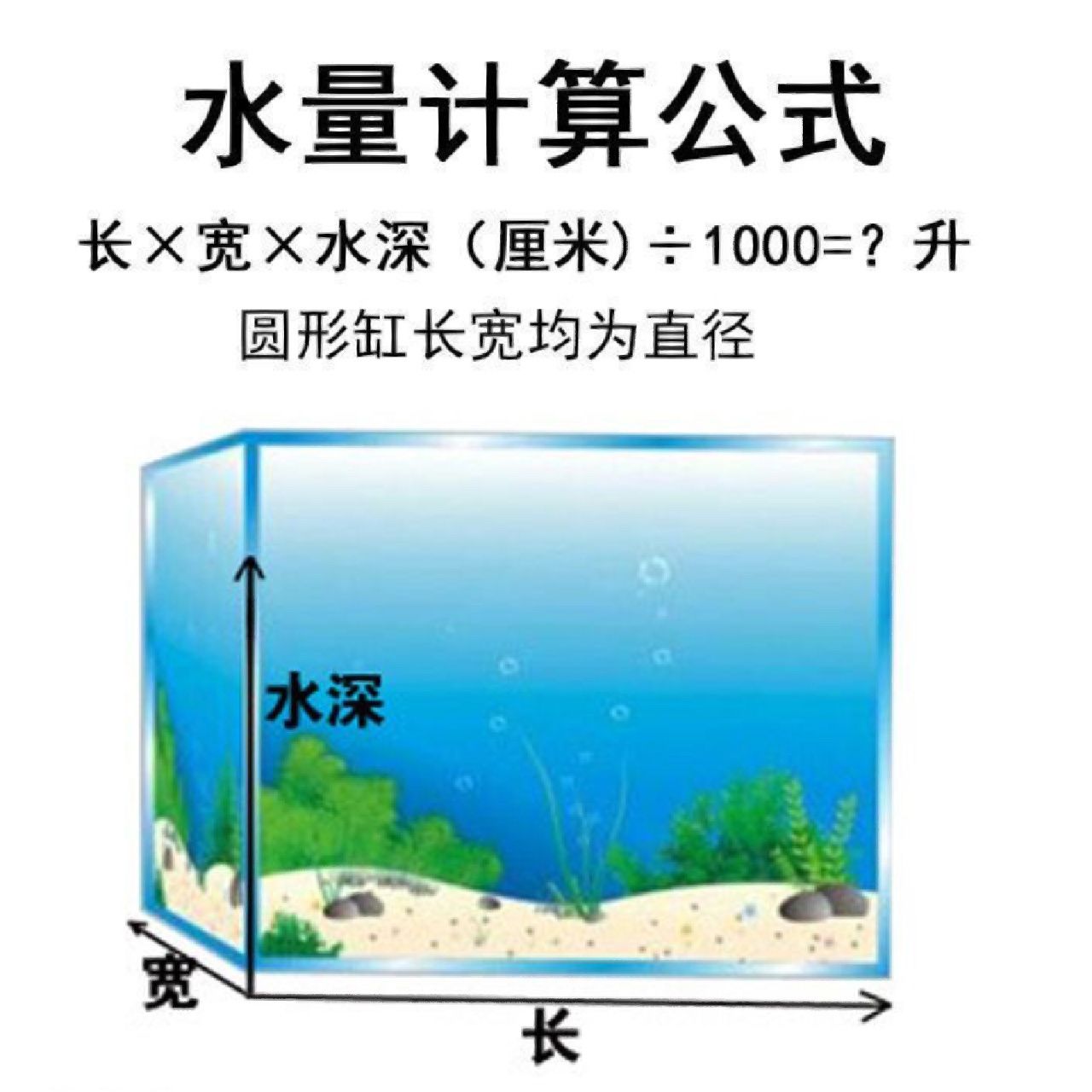 80cm魚缸長寬高比例：80cm魚缸的長寬高比例并沒有固定的比例但是有些建議可以幫助您做出選擇 魚缸百科 第3張