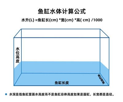 80cm魚缸長寬高比例：80cm魚缸的長寬高比例并沒有固定的比例但是有些建議可以幫助您做出選擇 魚缸百科 第1張