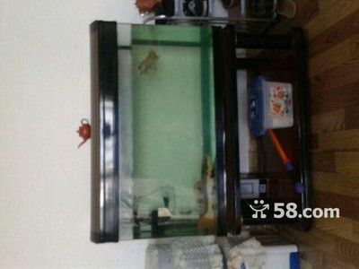 80cm魚缸長寬高比例：80cm魚缸的長寬高比例并沒有固定的比例但是有些建議可以幫助您做出選擇 魚缸百科 第4張