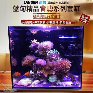 40cm魚缸多少升水：19篇40cm魚缸裝水多少升水40cm魚缸的水位多少升水 魚缸百科 第4張