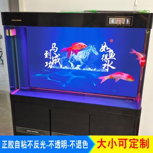 60的魚缸能養(yǎng)幾條金魚：60厘米的魚缸能養(yǎng)幾條金魚