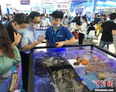 2024年水族展會(huì)時(shí)間及地點(diǎn)圖片 魚缸百科 第3張