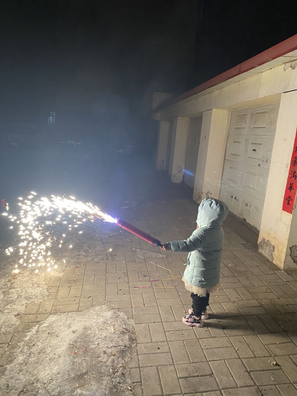 龍年大吉：龍年到!新春好! 觀賞魚(yú)論壇 第3張