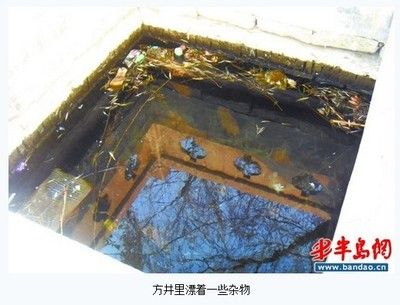 100個經(jīng)典魚池圖片：庭院設(shè)計中魚池的設(shè)計與布局 魚缸百科 第3張