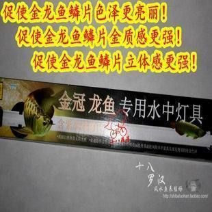 適合龍魚的魚缸尺寸是多少：適合龍魚的魚缸尺寸 龍魚百科 第1張