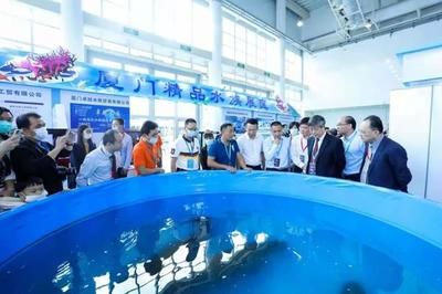 2024年廣州水族展會(huì)時(shí)間表圖片：2024年廣州水族展會(huì)時(shí)間表