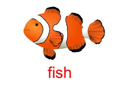 fish tank魚缸：關(guān)于魚缸的一些小知識 魚缸百科 第1張