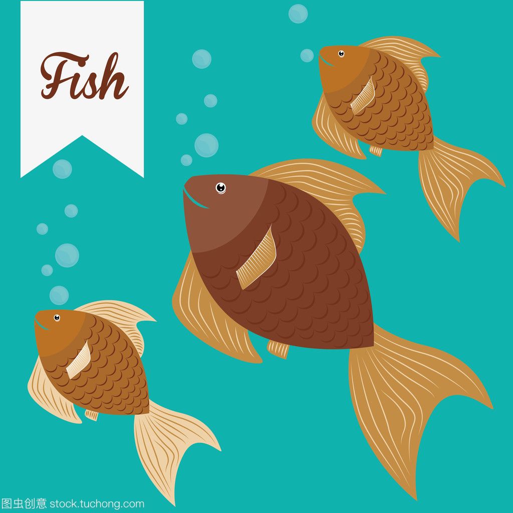 fish tank魚缸：關(guān)于魚缸的一些小知識 魚缸百科 第3張