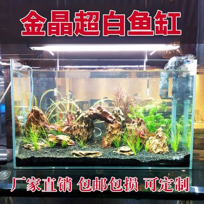 50厘米小魚缸造景圖片視頻：50厘米小魚缸造景教程 魚缸百科 第4張