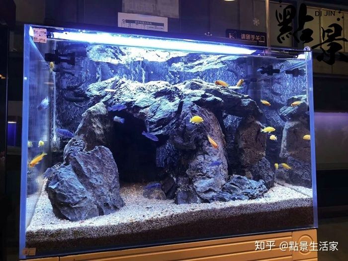 30的魚缸怎么造景：30厘米的魚缸該如何造景 魚缸百科 第1張