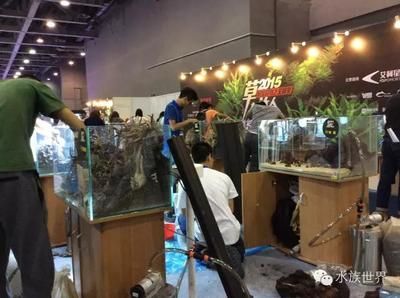 2024年國際寵物水族展：2024年中國國際寵物水族展覽會(huì)