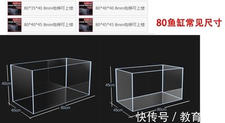 龍騰虎躍：復(fù)仇者聯(lián)盟4電影評(píng)論 觀賞魚論壇 第4張