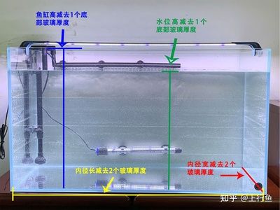 龍騰虎躍：復(fù)仇者聯(lián)盟4電影評(píng)論 觀賞魚論壇 第3張