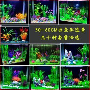 3060的魚(yú)缸價(jià)格：30*60魚(yú)缸造景設(shè)計(jì)魚(yú)缸造景設(shè)計(jì)的5個(gè)要點(diǎn)