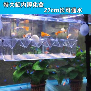 1米八的魚缸適合養(yǎng)多少條魚苗：1米8的魚缸適合養(yǎng)864條魚苗嗎？