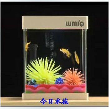 1米魚(yú)缸養(yǎng)幾條薩伊藍(lán)鯉魚(yú)合適：1米的魚(yú)缸養(yǎng)幾條薩伊藍(lán)鯉魚(yú)合適？