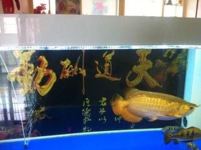 水龍魚湯的做法：制作水龍魚湯的幾種方法 龍魚百科 第1張